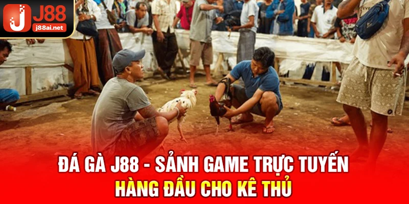 Đá Gà J88 - Sảnh Game Trực Tuyến Hàng Đầu Cho Kê Thủ Đá gà j88
